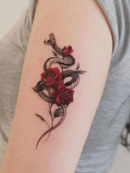 350 Mẫu Hình Xăm Hoa Hồng Đẹp Nhất 2022 - Rose Tattoo